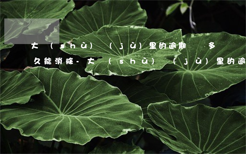 大數(shù)據(jù)里的逾期記錄多久能消除-大數(shù)據(jù)里的逾期記錄多久能消除掉