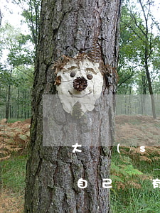 大數(shù)據(jù)里顯示有逾期但自己沒有-大數(shù)據(jù)里顯示有逾期但自己沒有貸款記錄