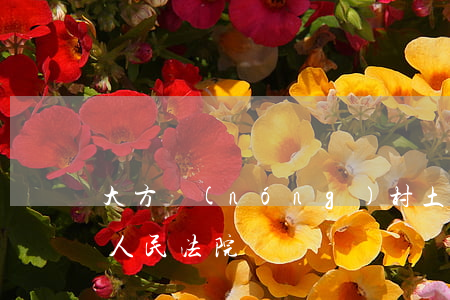 大方農(nóng)村土地糾紛律師(大方縣人民法院)