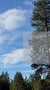 大月份引产(大月份引产是指几个月)