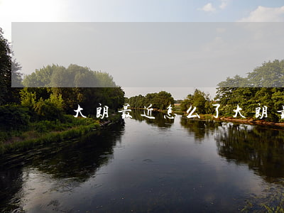 大朗最近怎么了(大朗最近三天的新聞) 大朗最近怎么了(大朗最近三天的新聞)