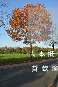 大本抵押貸款逾期一個月會怎么樣（大本抵押貸款逾期一個月）