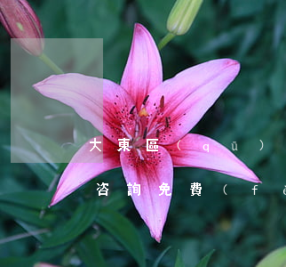 大東區(qū)離婚債務(wù)糾紛律師咨詢免費(fèi)-大東區(qū)離婚在哪辦理具體地址