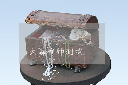 大森律师测试