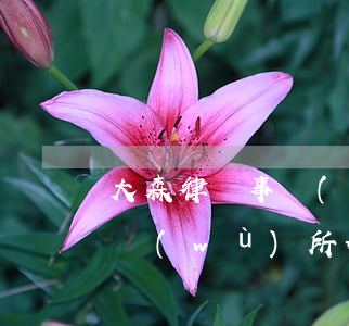 大森律師事務(wù)所靠譜嗎(大森律師事務(wù)所好進(jìn)么)