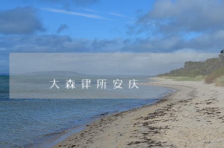 大森律所安庆