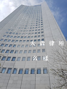 大森律所怎么樣(森力律師事務(wù)所怎么樣)