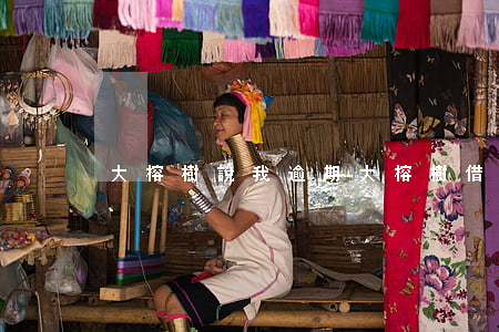 大榕樹說我逾期(大榕樹借款上不上征信)