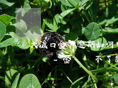 大渡口金條逾期如何申請(qǐng)停息掛賬-金條還不了款可以停息保停嗎