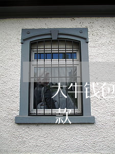 大牛钱包逾期怎么还款(大牛钱包逾期怎么还款)