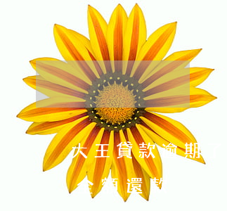 大王貸款逾期了幾天(借款大王逾期一天要求全額還款)