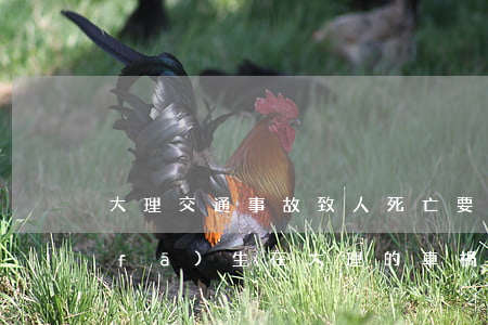 大理交通事故致人死亡要賠多少錢(昨天發(fā)生在大理的車禍)