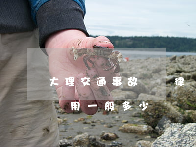 大理交通事故訴訟律師費大概多少(事故律師費用一般多少錢)