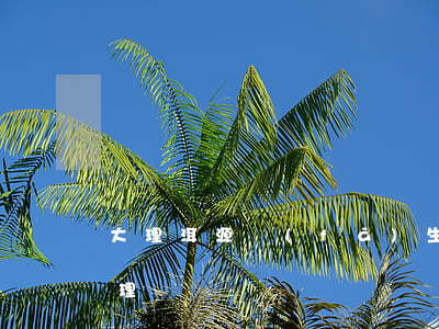 大理洱源發(fā)生地震,地震保險是否可理賠