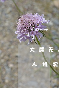 大疆无人机实体店可以分期付款吗-大疆无人机实体店可以分期付款吗多少钱