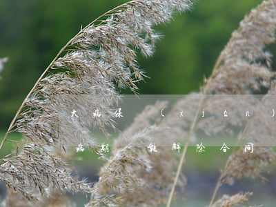大病保險(xiǎn)合同糾紛如何處理(大病期間能解除合同嗎)