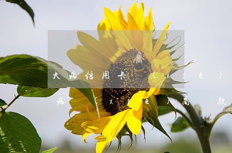 大病信用卡協(xié)商處理嗎-重大疾病協(xié)商還款影響征信嗎