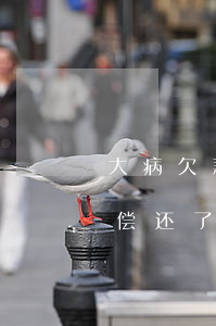 大病欠款无力偿还-身患重病欠银行钱无力偿还了