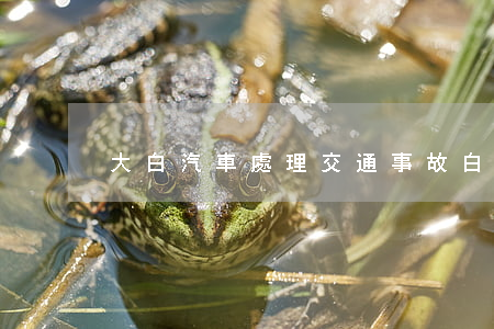 大白汽車處理交通事故(白山特大交通事故)