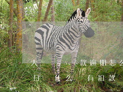 大眾車貸還款逾期怎么辦(大眾金融車貸還款日為什么沒有扣款)