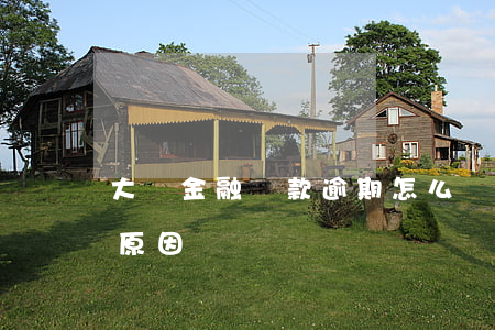 大眾金融貸款逾期怎么辦(大眾金融貸款被拒原因)