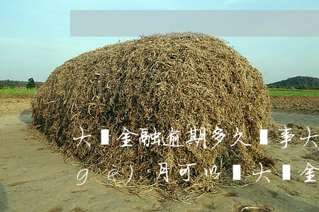 大眾金融逾期多久沒事(大眾金融逾期三個(gè)月,可以與大眾金融協(xié)商嗎)