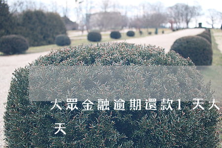 大眾金融逾期還款1天(大眾金融逾期還款1天)
