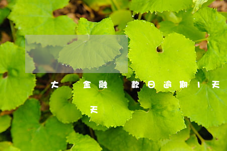 大眾金融還款日逾期1天(大眾金融還款能延遲幾天)