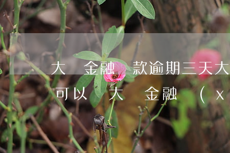 大眾金融還款逾期三天(大眾金融逾期三個月,可以與大眾金融協(xié)商嗎)