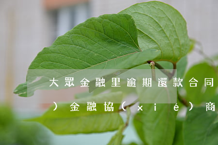 大眾金融里逾期還款合同(大眾汽車(chē)金融協(xié)商還款)
