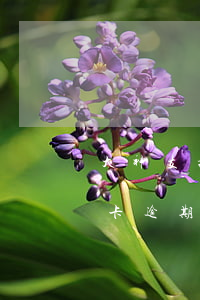 大神支招信用卡逾期(有沒(méi)有信用卡逾期)