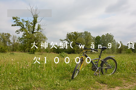 大神欠網(wǎng)貸(網(wǎng)貸欠10000)