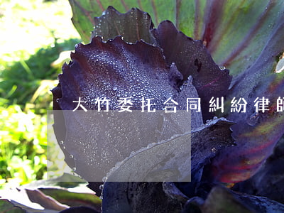 大竹委托合同糾紛律師多少錢(qián)