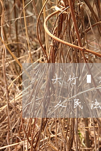大竹縣凌燦偉律師轉(zhuǎn)載最高人民法院印發(fā)《關(guān)于人民法院審理離婚案件處理財(cái)產(chǎn)分割問題的若干具體意見》的通知
