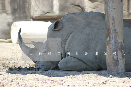 大竹請合同糾紛律師多少錢