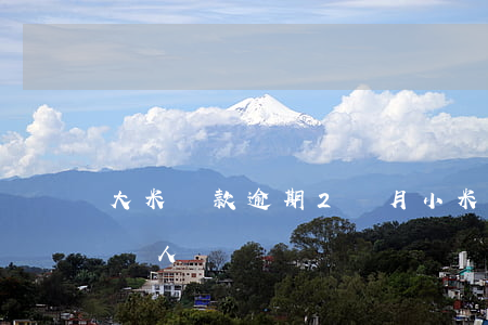 大米貸款逾期2個月(小米貸款逾期利息高的嚇人)