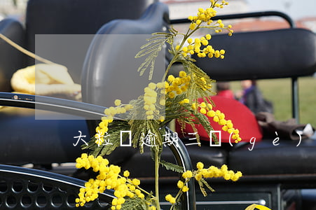 大粒貸逾期三個(gè)月還款