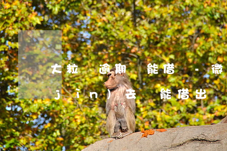 大粒貸逾期還能借嗎-微粒貸逾過期還進(jìn)去還能借出來嗎