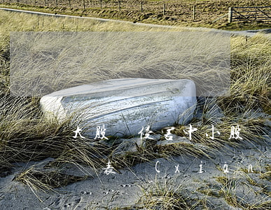 大股東侵害中小股東權(quán)益的4種表現(xiàn)