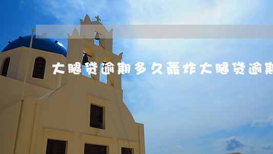 大腿贷逾期多久轰炸(大腿贷逾期多久轰炸)