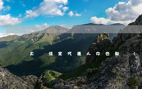 大膽！法定代表人你也敢當(dāng)！