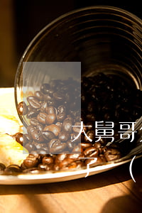 大舅哥欠網(wǎng)貸怎么處理(弟弟欠了網(wǎng)貸怎么辦)
