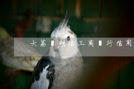大荔縣胡浩工商銀行信用卡逾期案