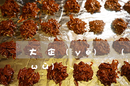 大豐企業(yè)債權(quán)債務(wù)