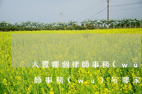大豐哪個律師事務(wù)所比較好(豐城律師事務(wù)所哪家好)