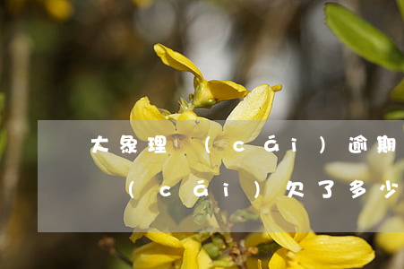 大象理財(cái)逾期會被起訴嗎(海象理財(cái)欠了多少)