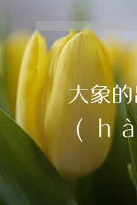 大象的出生方式（信用卡逾期手機(jī)號(hào)過(guò)戶）