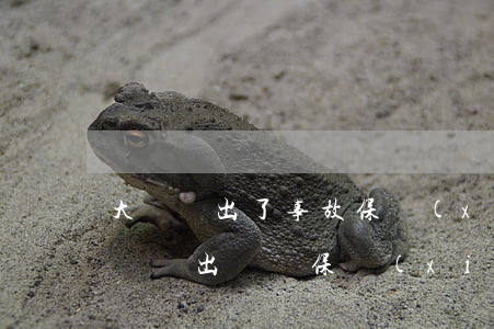 大貨車出了事故保險(xiǎn)全賠嗎(大貨車出車禍保險(xiǎn)公司怎么賠償)