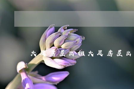 大足房屋出租(大足房屋出租龍崗街道信息)