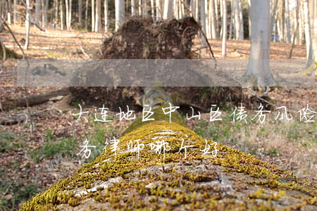 大连地区中山区债务风险代理律师-大连债务律师 哪个好